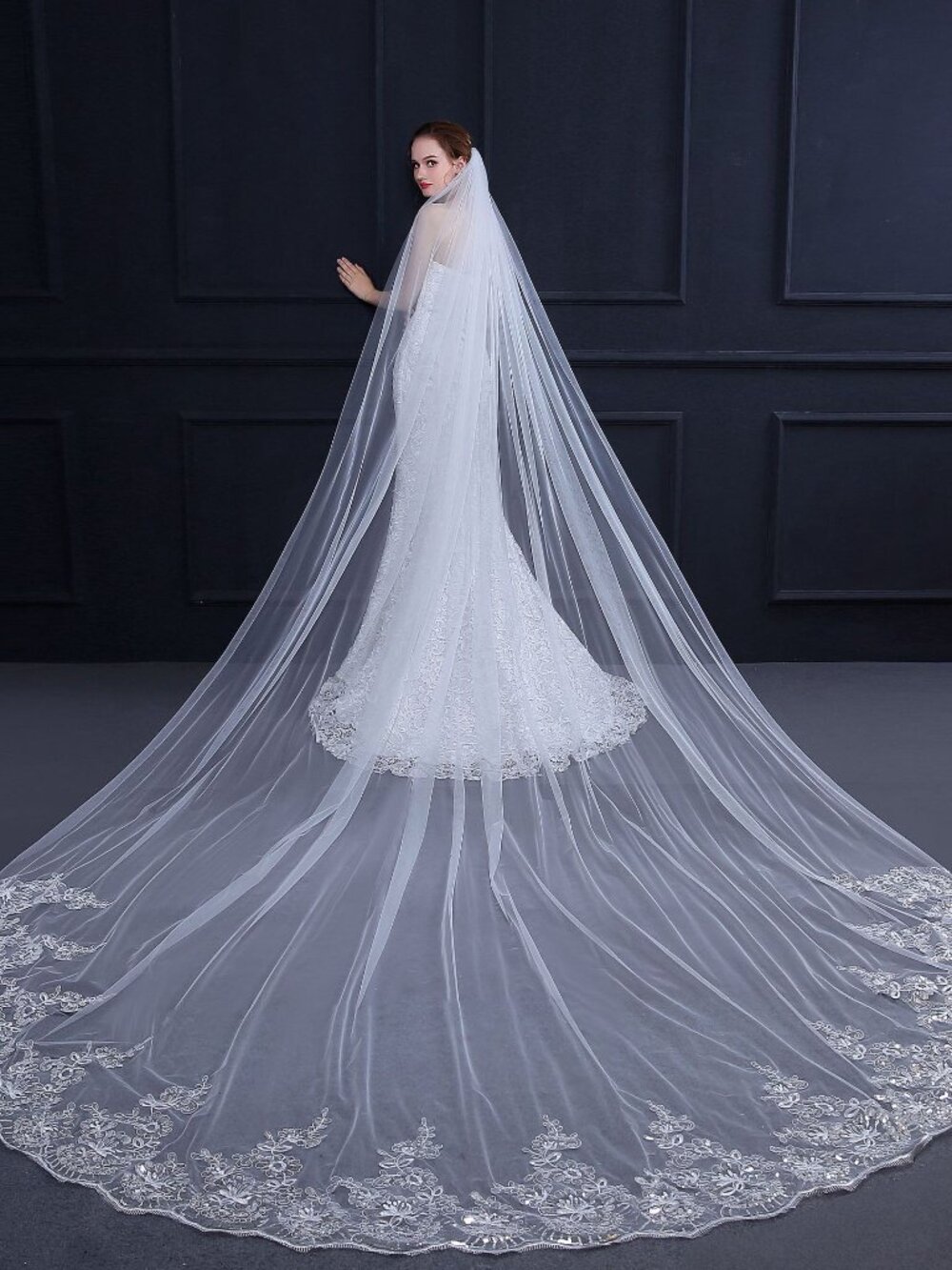 Single-Tier Lace Applique Cathedral Wedding Veil 4x3M